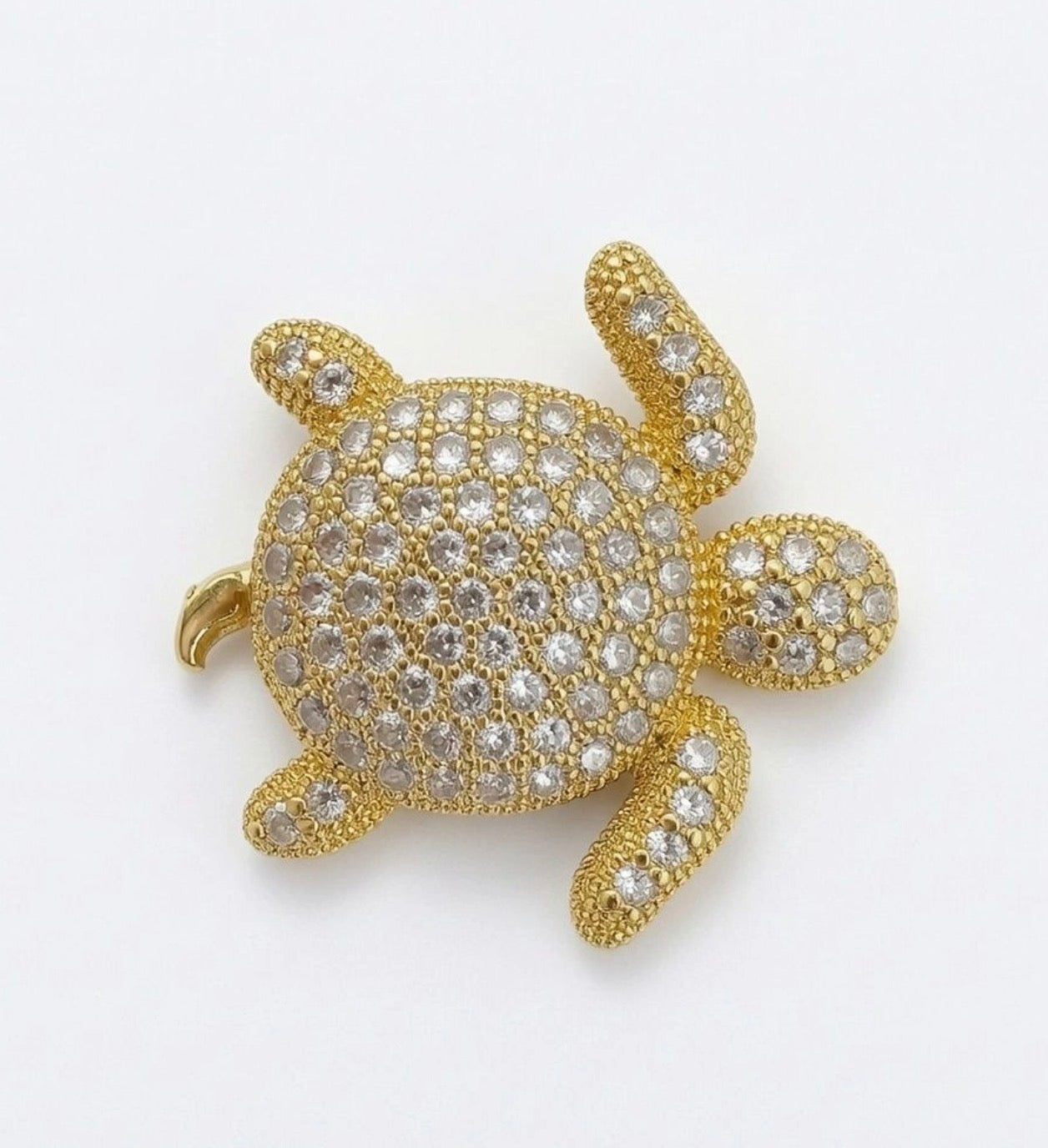 Majestic Turtle