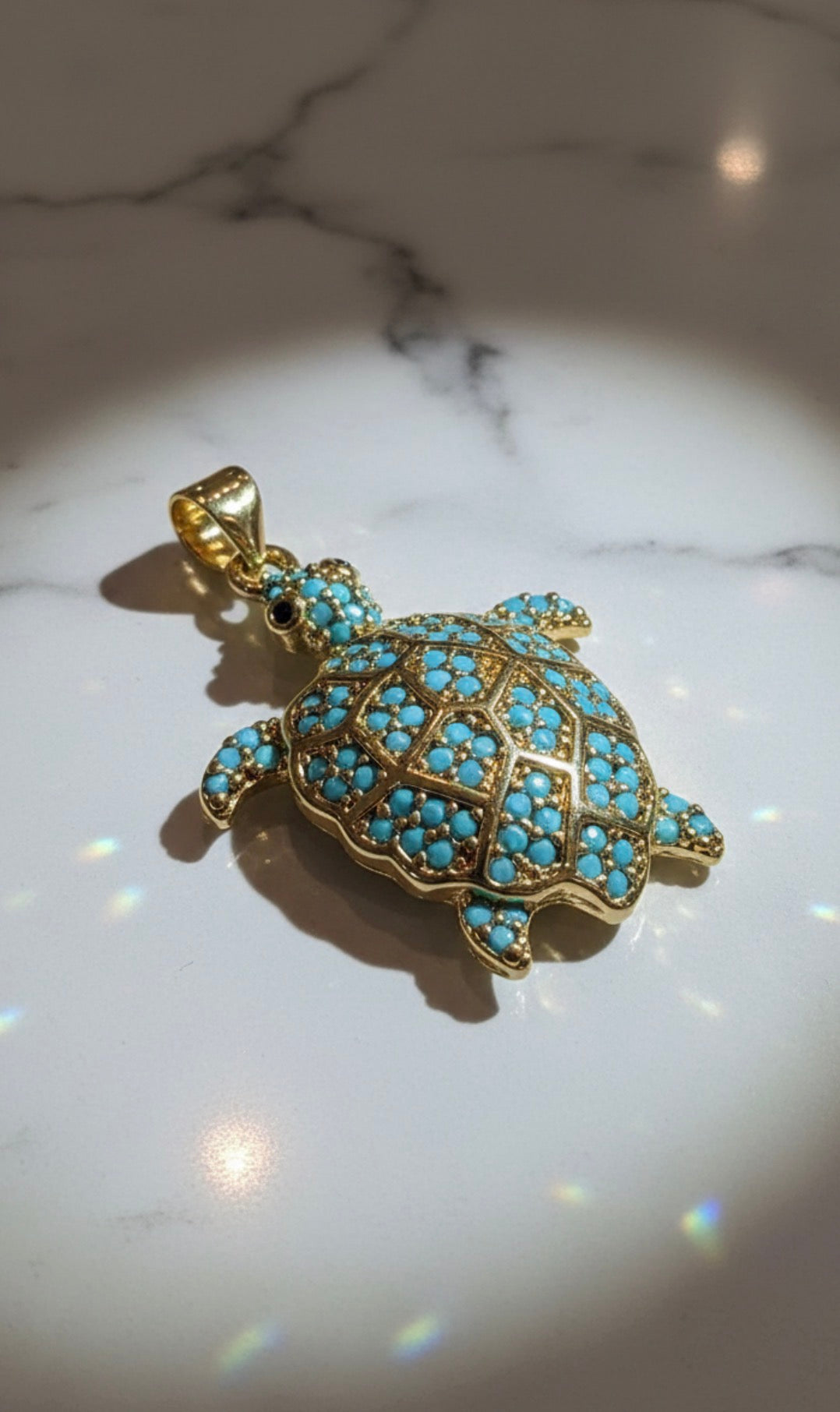 Celestial Turtle